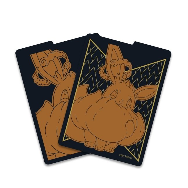 Picture of dividers in Pokemon Sword & Shield Shining Fates Elite Trainer Box