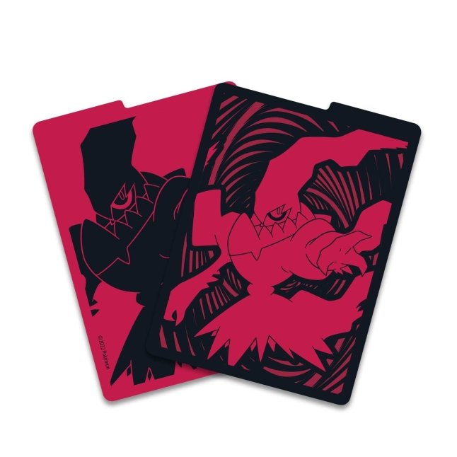 Picture of dividers in Pokemon Sword & Shield Astral Radiance Pokemon Center Elite Trainer Box
