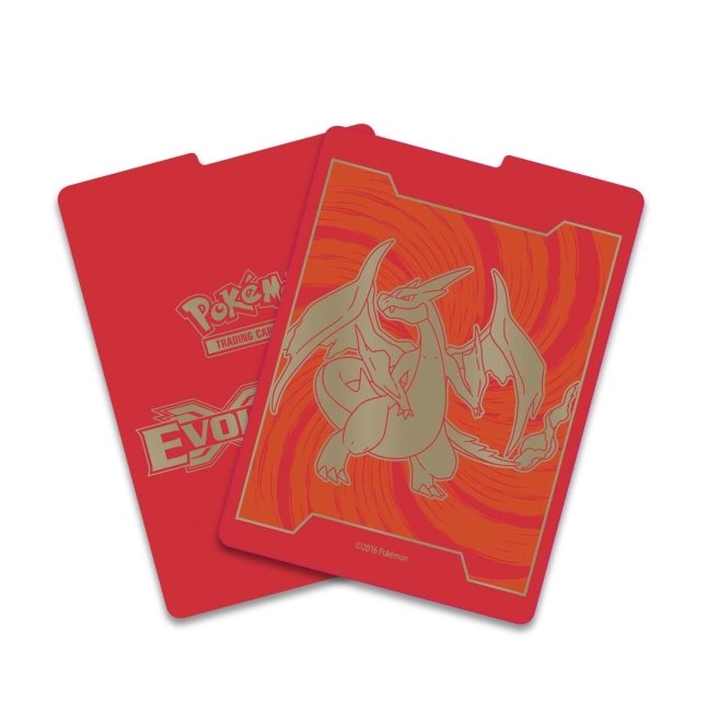 Picture of dividers in Pokemon XY Evolutions Elite Trainer Box [Charizard]